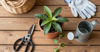 Houseplant Growth Secrets: Is Pinching The Key To Bushier Trailing Plants?