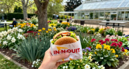 In-N-Out Burger Expanding With New Locations In CA. Heres Where