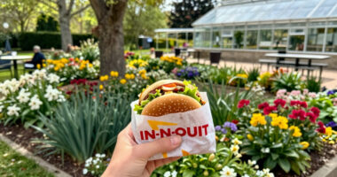In-N-Out Burger Expanding With New Locations In CA. Heres Where