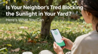 Is Your Neighbor's Tree Blocking the Sunlight in Your Yard? Here’s What You Can (and Can’t) Do About It, According to a Lawyer
