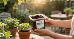 Tired of Watering Pots Constantly? This Soil Mix-In Keeps Containers Moist for Longer
