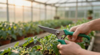 11 Best Greenhouse Gardening Tools in 2026