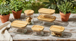 12 Best Home Storage Containers in 2026