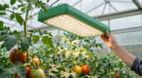 13 Best Greenhouse Grow Light Kits in 2026