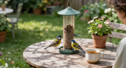 3 Beautiful Backyard Birds That Eat Wasps – And How To Attract Them To Your Yard