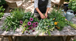 6 Pretty Perennials That Look Better When I Stop Tidying Them And Let Them Go A Little Wild