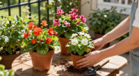 Do Any Plants Flower Year-Round? These 7 Prolific Bloomers Come Surprisingly Close