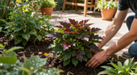 Every Garden Needs One Plant That Makes A Border Look Expensive – These 6 Add Wow Factor With Almost No Effort