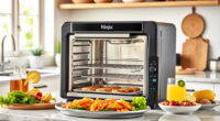 Ninja Foodi XL Pro Air Oven: The Ultimate Summer Kitchen Companion