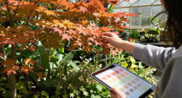 The 2026 Fall Foliage Forecast Is Out – When Will Your Garden Trees Reach Peak Color?