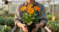 These 5 Tough Flowers Bounce Back Beautifully After Summer Heat Stress