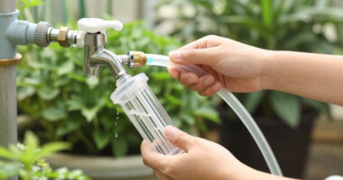 This Simple Hose Attachment Makes Tap Water Suitable For Even The Most Sensitive Plants (And It's Under $20!)