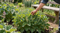 This Striking Prairie Native Is Quietly Replacing Mediterranean Plants – It's Hardier And Wildlife-Friendly