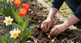 13 Best Spring Flowering Bulbs in 2026