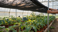 15 Best Greenhouse Shade Cloth for 2026