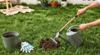5 Healing Lawn Care Tasks To Revive And Repair Grass After Summer Heat – Get These Fixes Done Before September Ends