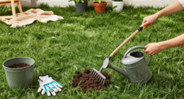 5 Healing Lawn Care Tasks To Revive And Repair Grass After Summer Heat – Get These Fixes Done Before September Ends