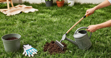 5 Healing Lawn Care Tasks To Revive And Repair Grass After Summer Heat – Get These Fixes Done Before September Ends