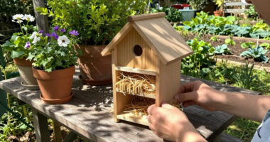 DIY A Bug Hotel To Give Beneficial Garden Insects A Home Before Temperatures Drop