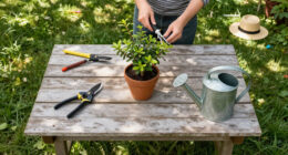 Do You Know The September Stagger? This Easy Late-Season Pruning Trick Will Transform Your Fall Borders
