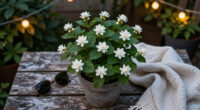 Every Garden Needs One Plant That Smells Better At Night – 7 Fragrant Choices For Dreamy Evenings On The Patio