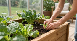 Joanna Gaines Has The Ultimate Raised Bed Garden – Her Simple But Clever Design Makes Everything Easier