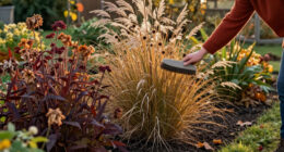 Just As Other Plants Start To Fade, These 6 Ornamental Grasses Hit Their Stride