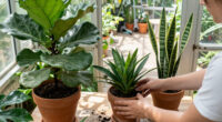 Must-Have Plants That Will Be Twice The Price Come Spring – Add Them To Your Yard Now And Save Yourself A Fortune