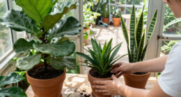 Must-Have Plants That Will Be Twice The Price Come Spring – Add Them To Your Yard Now And Save Yourself A Fortune