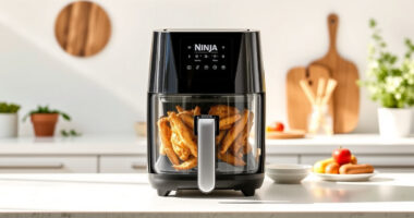 Summer Care Tips for the Ninja Crispi Pro 6-in-1 Glass Air Fryer