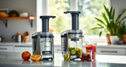 Summer Care Tips for Your Ninja NeverClog Cold Press Juicer
