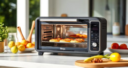 Summer Care & Troubleshooting for the Ninja Foodi XL Pro Air Oven