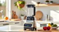 Summer Smoothies Made Easy with Ninja Professional Blender
