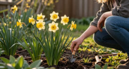 This Daffodil Is Quietly Replacing Classic Yellow Varieties – It’s Fragrant, Long-Lived, And Hardy