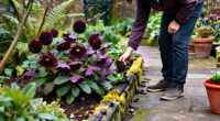 11 Best Gothic Garden Plants for Dramatic Color in 2027
