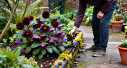 11 Best Gothic Garden Plants for Dramatic Color in 2027