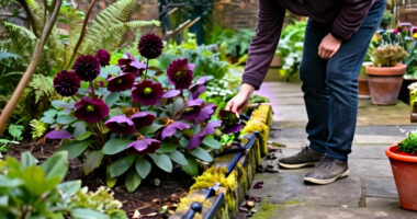 11 Best Gothic Garden Plants for Dramatic Color in 2027