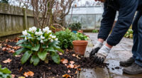 12 Plants To Add To Your Garden Now For Winter Beauty