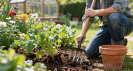 13 Best Garden Tools for Dividing Perennials in 2027