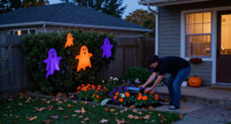 14 Best Outdoor Halloween Projector Lights for 2027