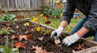 15 Best Fall Flower Seeds for Cool-Season Color in 2027