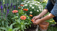 15 Best Flowering Garden Plants for Color From Spring to Fall in 2027