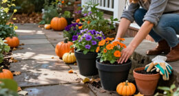 3 Best Halloween Outdoor Garden Planters in 2027