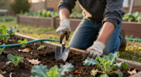 3 Things To Do Before Planting Your Fall Garden—and 1 Thing To Skip