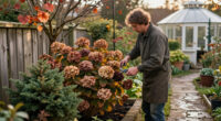 5 Plants You Should Never Prune In October – Or You Risk Ruining A Gorgeous Winter Display & Next Year's Blooms