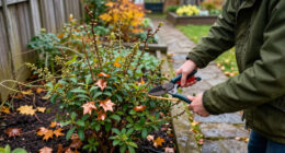 5 Shrubs To Prune In October For Healthier Growth And Better Blooms Next Year