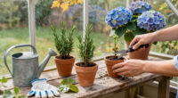 7 Easy Garden Plants You Can Grow For Free From Fall Cuttings
