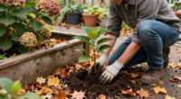 9 Gorgeous Hydrangeas To Plant This Fall For Blooms Next Summer