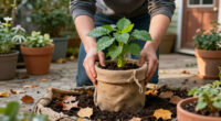Do These 3 Things To Protect Your Container Plants Before The First Frost, Says My Professional Gardener Husband