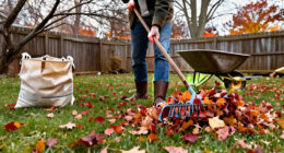 Fallen Leaves Taking Over Your Yard? This Clever Amazon Tool Makes Clean-up So Much Easier – And Saves Your Back